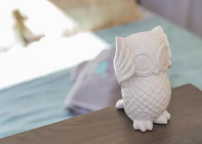 Cote Perdrix - Calme - Centre - Animaux Admis アパート